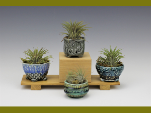 Pinch Pots with Airplants
