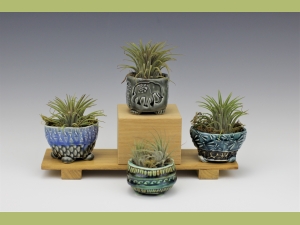 Pinch Pots with Airplants